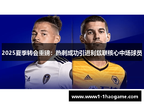 2025夏季转会重磅：热刺成功引进利兹联核心中场球员